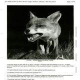 The-Sun-Newspaper