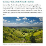 The-Telegraph-8