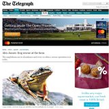 The-Telegraph
