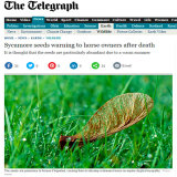 The Telegraph