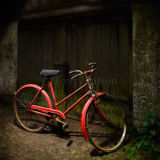 Old Bicycle