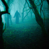 Haunted Forest