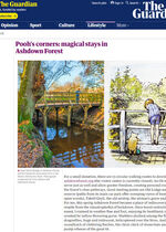poohbridge