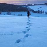 Snowy escape