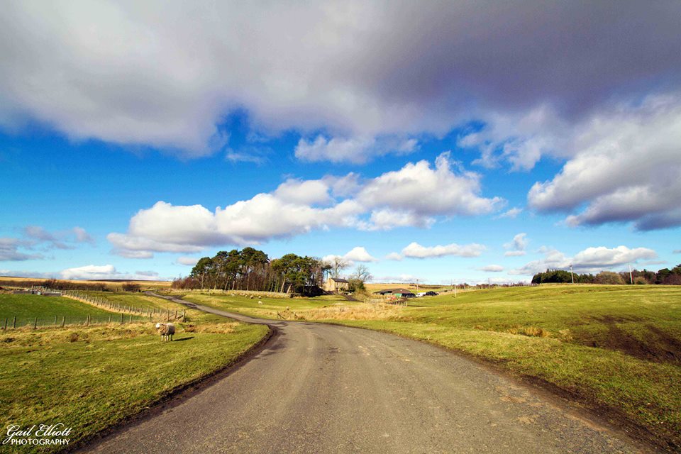 Otterburn Landscape