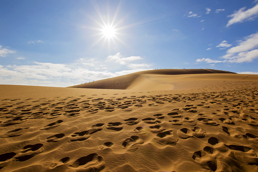 Footprints in the Sand
