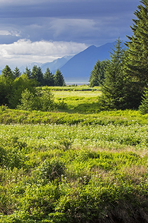 Spasski River Valley, Alaska