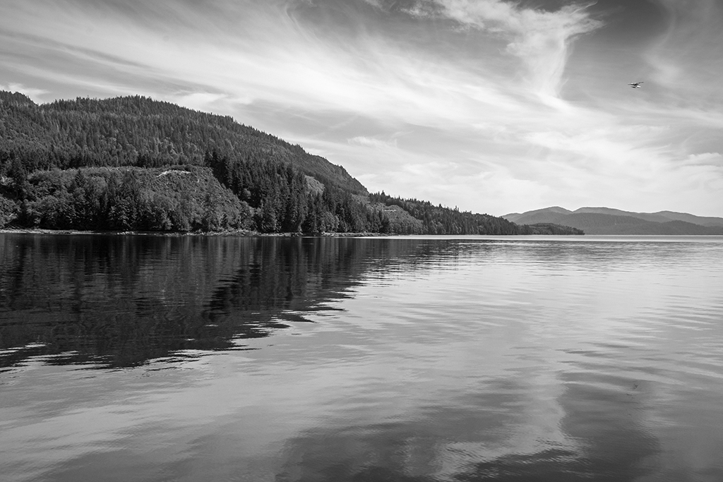 George Inlet Reflections