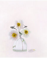 Three Pink Dahlia in Glass Vase