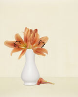 Orange Lillies in white Vase 2