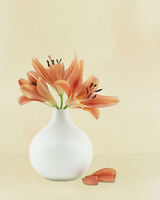 Orange Lillies in white Vase 3 - Copy
