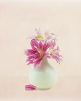 Pink Rose Lily in White Vase 2 - Copy
