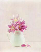 Pink Rose Lily in white Vase 1