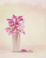 Pink rose Lily in Pink Vase