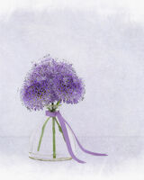 Purple Alium in Glass Vase