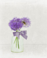 Purple Alium in Glass Vase with Purple Ribbon