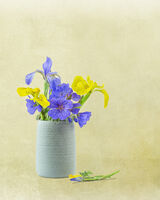 Summer Posy