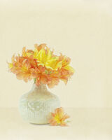 Yellow and Orange Astromeria in Cream Vase 1