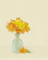 Yellow and Orange Atromeria in cream Vase 2