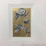 Peony