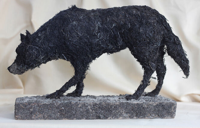 Black Wolf