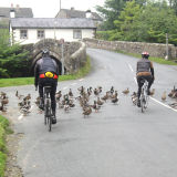 Road block at Dunsop Bridge