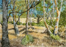 River walk, Maribyrnong, Melbourne 20x28cms