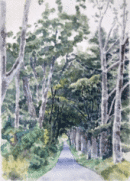 Scottish Borders road 31x22.5cms