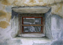 Agums, window 20x28cms