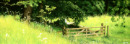 Gate to Garlies Wood (oil)