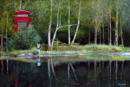 Telephone Box in the Landscape #3 (oil)