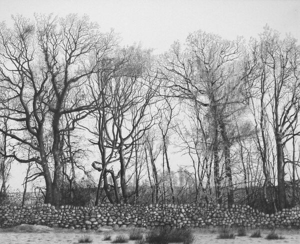 Waiting for Spring (pencil)