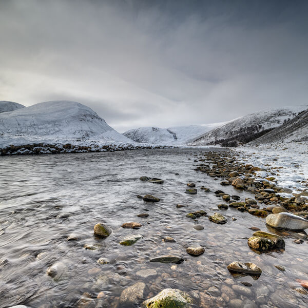 Image in the Cairngorms, Scotland