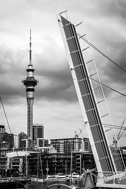 AUCKLAND HARBOUR