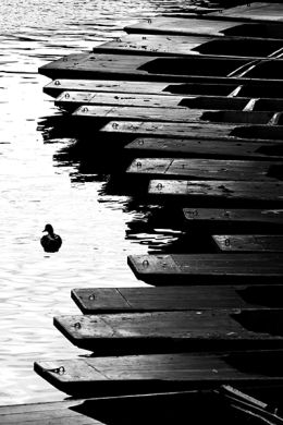 TAKE A PUNT