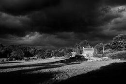 THIS DOESN'T LOOK GOOD