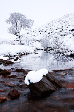COLD WATERS OF CRABDALE