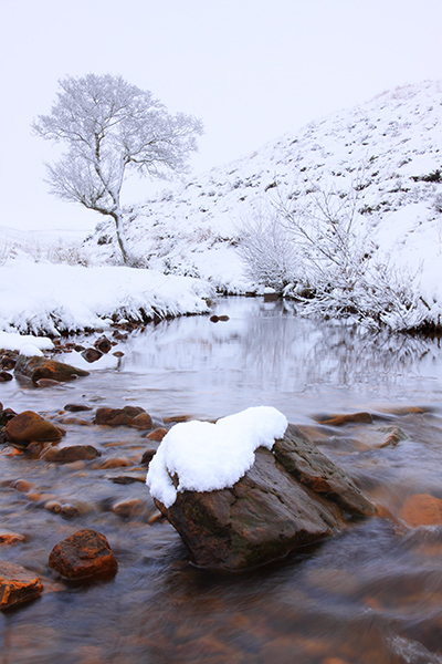 COLD WATERS OF CRABDALE