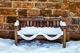 MAKING A SPECTACLE OF ONESELF