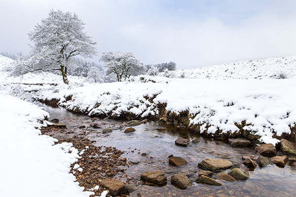 CRABDALE BECK