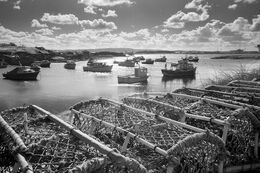 PADDY'S HOLE, TEESMOUTH
