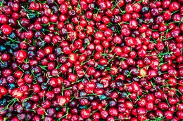 CHERRY HEAVEN