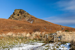 THE EASIER ASCENT