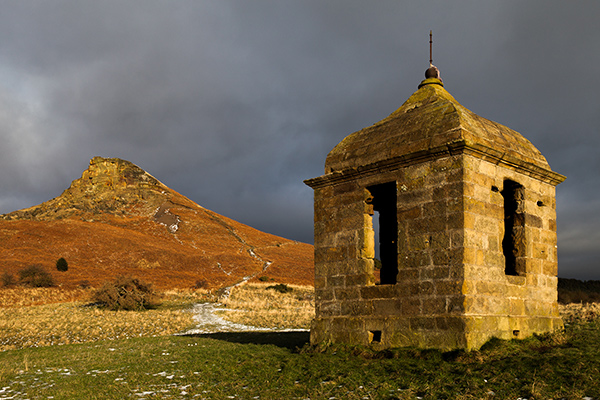 WINTER FOLLY