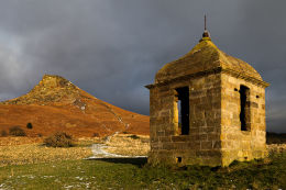 WINTER FOLLY