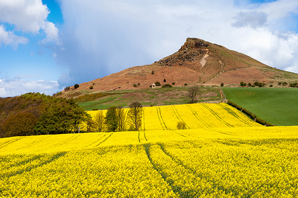 COLOURS OF SPRING