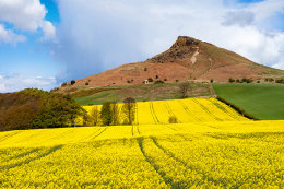 COLOURS OF SPRING
