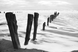 STILL STANDING