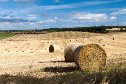 TEN MINUTES FROM TEESSIDE