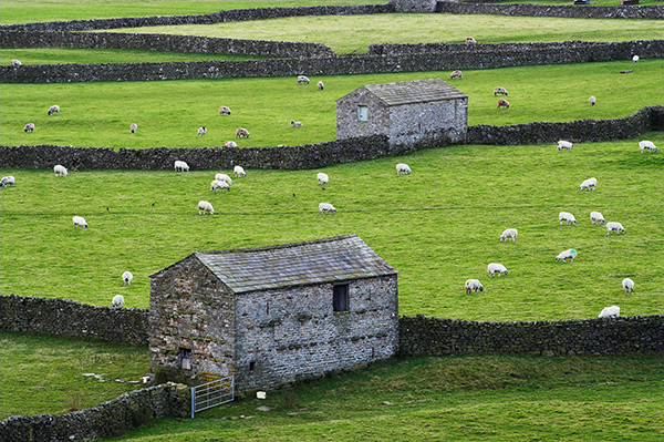 GUNNERSIDE